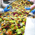 Best Price Vacuum Fried Vegetables Vf Apple Chips